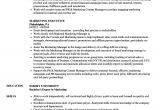 Sample Resume for Marketing Executive Position Marketing Executive Resume Samples Velvet Jobs