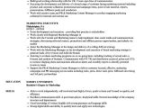 Sample Resume for Marketing Executive Position Marketing Executive Resume Samples Velvet Jobs