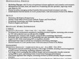 Sample Resume for Marketing Executive Position Marketing Resume Sample Resume Genius