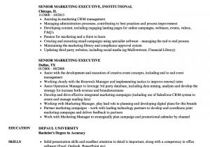 Sample Resume for Marketing Executive Position Sample Resume Of Marketing Executive Talktomartyb