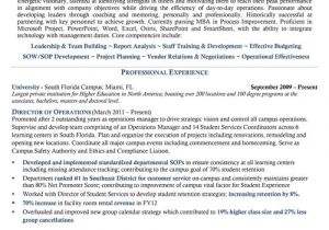 Sample Resume for Mid Level Position Executive Resume Samples Executive Resume Writing Service