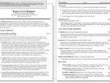 Sample Resume for Mid Level Position Sample Resume for A Mid Career Professional Dummies