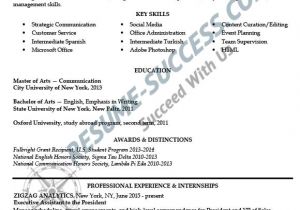 Sample Resume for Mid Level Position Sample Resumes Resume Success