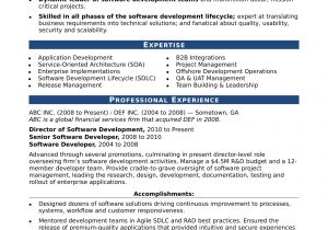 Sample Resume for Net Developer with 2 Year Experience Sample Resume for An Experienced It Developer Monster Com