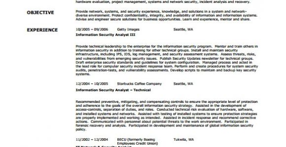 Sample Resume for Network Security Engineer Network Engineer Resume Template 9 Free Word Excel