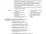Sample Resume for No Experience Applicant Resume Sample for Nurse Applicant New Grad