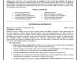 Sample Resume for Oil Field Worker Epic Example Of A Oilfield Consultant Resume Sample