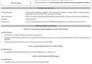 Sample Resume for One Year Experienced software Engineer Resume for 1 Year Experienced software Engineer
