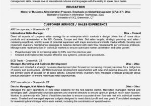 Sample Resume for Overseas Jobs Examples Of Resumes with International Jobs Resume