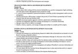 Sample Resume for Overseas Jobs International Business Development Resume Samples Velvet