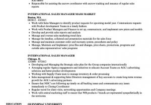 Sample Resume for Overseas Jobs International Sales Manager Resume Samples Velvet Jobs