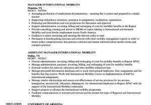 Sample Resume for Overseas Jobs Old Fashioned International Work Experience Resume Sample