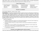 Sample Resume for Payroll assistant Payroll Manager Resume Printable Planner Template