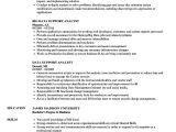 Sample Resume for Production Support Analyst Data Support Analyst Resume Samples Velvet Jobs