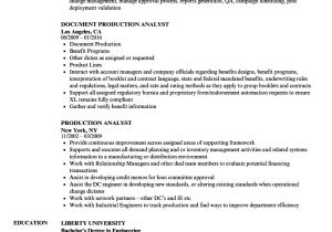 Sample Resume for Production Support Analyst Production Analyst Resume Samples Velvet Jobs