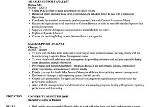 Sample Resume for Production Support Analyst Sales Support Analyst Resume Samples Velvet Jobs