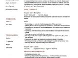 Sample Resume for Project Manager In Manufacturing Manufacturing Manager Resume Best Resume Gallery
