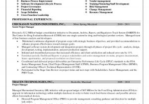 Sample Resume for Project Manager It software India Enterprise Risk Management Resume Goals and Objectives