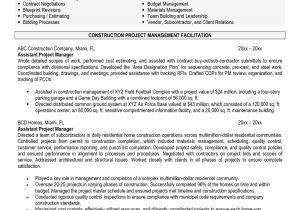 Sample Resume for Project Manager It software India software Project Manager Resume Sample India Bongdaao Com