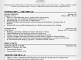 Sample Resume for Sales associate and Customer Service Chronological Resume format Resumecompanion Com