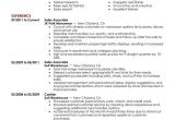 Sample Resume for Sales associate and Customer Service Sales associate Level Resume Examples Free to Try today