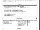 Sample Resume for Sap Fico Consultant Sap Fico Resume format