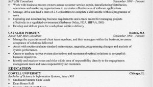 Sample Resume for Sap Mm Consultant Sap Mm Consultant Resume Resumecompanion Com Resume