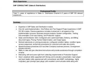 Sample Resume for Sap Sd Consultant Ritesh Sap Sd Resume