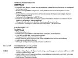 Sample Resume for Sap Sd Consultant Sap Sd Consultant Resume Samples Velvet Jobs