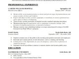 Sample Resume for Security Guard Pdf Security Guard Resumes 10 Free Word Pdf format