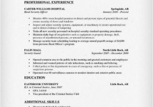 Sample Resume for Security Guard Pdf Security Officer Resume Sample Jennywashere Com