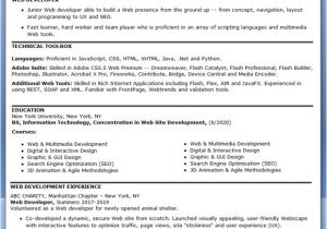 Sample Resume for software Engineer with Experience In Java Java Developer Resume Resume Badak