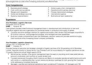 Sample Resume for Supply Chain Management Professional Global Supply Chain Manager Templates to