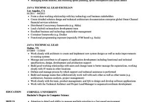 Sample Resume for Technical Lead Java Technical Lead Resume Samples Velvet Jobs