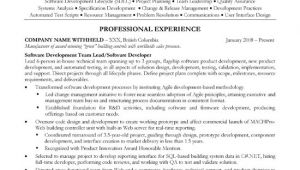 Sample Resume for Technical Lead sofware Development Lead Resume Sample