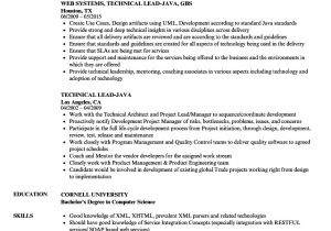 Sample Resume for Technical Lead Technical Lead Java Resume Samples Velvet Jobs