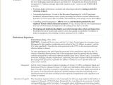 Sample Resume for tourism Students Best 20 event Planning Template Ideas On Pinterest