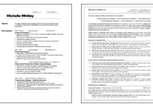 Sample Resume for Trainer Position Corporate Trainer Resume Example