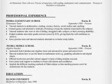 Sample Resume for Tutors Sample Resume for College Teaching Job Business Research