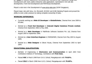 Sample Resume for Web Designer Experience Experience Resume Sample for Web Developer Bongdaao Com