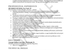Sample Resume for Web Designer Experience Web Developer Resume Example Career Objective Professional