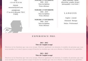 Sample Resume for Zara 14 Cv Vendeuse Zara Coffeeshacknc