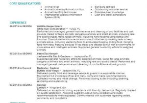 Sample Resume for Zookeeper Sample Resume Zookeeper Resume Templates