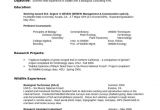 Sample Resume for Zoologist Zoology Resume Examples Examples Resume Resumeexamples