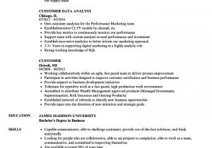 Sample Resume for Zs associates Customer Resume Samples Velvet Jobs