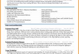 Sample Resume format In Word Document 5 Cv Sample Word Document theorynpractice