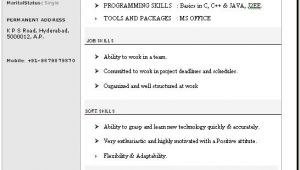 Sample Resume In Word format Beautiful Resume format In Word Free Download
