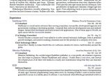 Sample Resume Multiple Positions Same Company Resume Multiple Positions Same Company Resume Badak