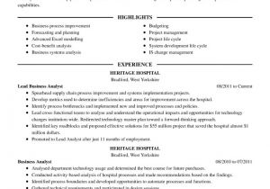 Sample Resume Multiple Positions Same Company Resume Sample Multiple Jobs Same Company Danaya Us