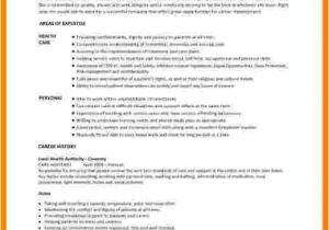 Sample Resume New Zealand Style 8 Cv format Nursing theorynpractice